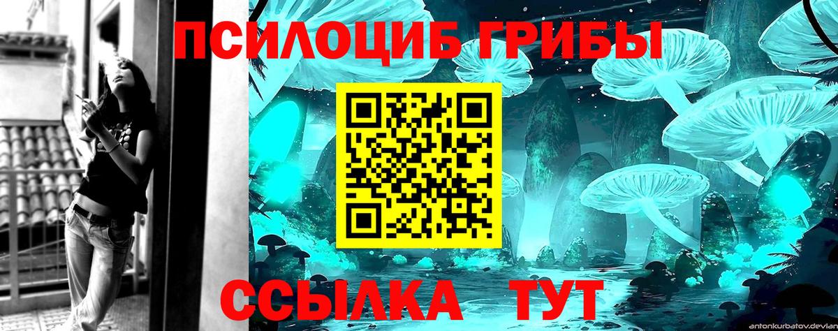 Псилоцибиновые грибы Psilocybe Ижевск