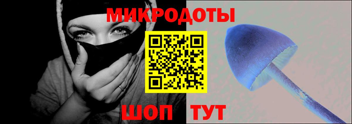 Галлюциногенные грибы Psilocybe  Псилоцибиновые грибы мухоморы  Вход с VPN  Ижевск 